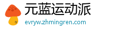 元蓝运动派